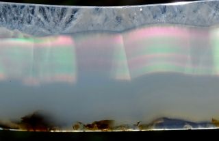 Mw: Rainbow IRIS AGATE Polished Slab - Oregon Limb Cast - Petrified Wood - 41.  4cts 3