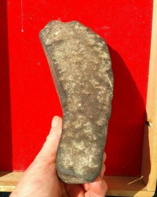 9.  5 " Neolithic Celt Artifact Native American Indian Stone Tool Scraper Artifacts
