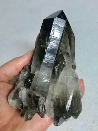 Large Self - Standing Brazilian Smoky Quartz Cluster Crystal - 333 Grams