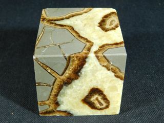 A Big Standing Polished Cube Made From A Utah Septarian Nodule 386gr E