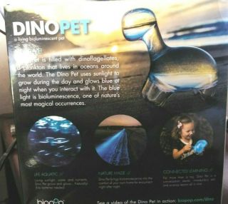 BIOPOP DINOPET Dino Pet Dinosaur Bioluminescent NO DINOFLAGELLETES 6