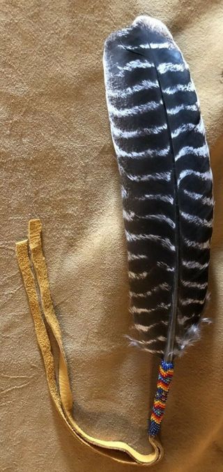 One Neatly Colored Native American Lakota Sioux Beaded Turkey Feather