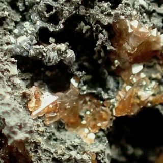 Arsenolite,  Proustite,  Nickelskutterudite On Arsenic Rare Schlema,  Germany