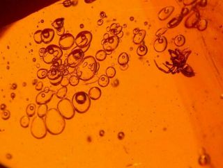 25 Water Bubbles Enhydros,  Spider And Fly In Authentic Dominican Amber Fossil