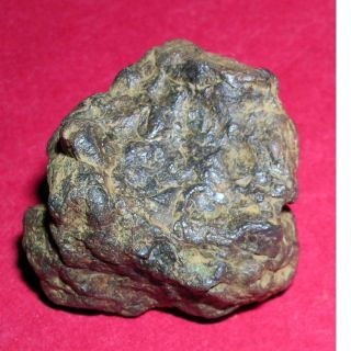 Sericho Pallasite Meteorite - 35.  4 Gram Individual