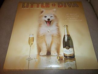 Little Diva - 2019 Wall Calendar - - Cute Funny Dog Cy00219