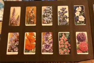 Wills ' s Vintage Cigarette Card Album With 100 cards - 89 Wildflowers & 11 Ladies 5