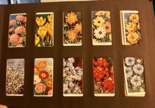 Wills ' s Vintage Cigarette Card Album With 100 cards - 89 Wildflowers & 11 Ladies 6