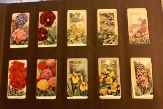 Wills ' s Vintage Cigarette Card Album With 100 cards - 89 Wildflowers & 11 Ladies 8