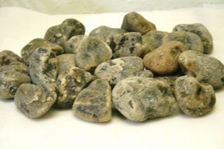 30 Lbs Rough Montana Agate For Slabs,  Lapidary,  Crafts,  Hobbies,  Decor