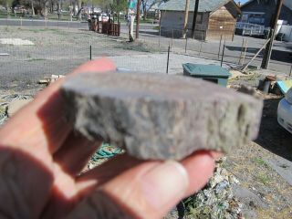 (BR) dinosaur bone rough cut petrified fossil agatized 4