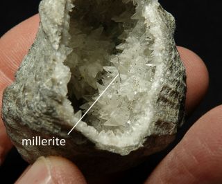 Ordovician Geodized Brachiopod With Rare Millerite Crystals On Calcite