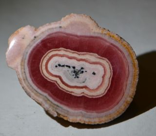 Rhodochrosite Stalactite Ultra Red From Argentina