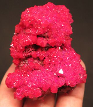 55mm 1oz Red Chalcanthite Crystal Cluster Mineral Specimen