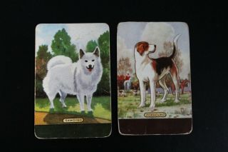 Coles Named Swap Playing Cards Samoyed Herd Dog English Foxhound Puppy Horse