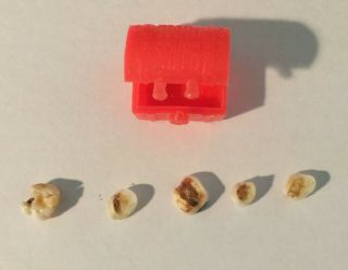 Real Human Teeth For Research - Small With Vintage Tooth Saver Chest