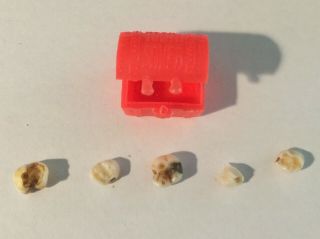 Real Human Teeth For Research - Small With Vintage Tooth Saver Chest 2