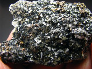 Rare Hutchinsonite Metallic Xls,  Pyrite & Quartzs From Peru.  Quiruvilca Mine