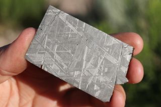 Muonionalusta Meteorite Etched Part Slice 21 Grams