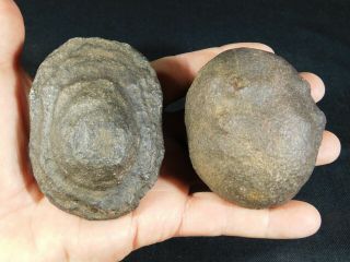 A Huge Natural Moqui Marbles Or Shaman Stones Found In Utah 510gr E