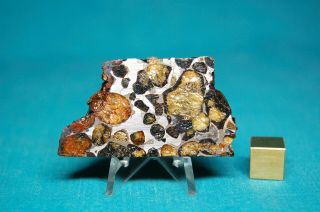 Sericho Pallasite Meteorite 33.  9 Grams
