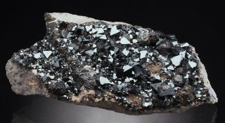 Magnetite - Lustrous Crystals On Matrix Bolivia /an198