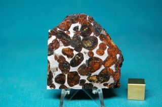 Sericho Pallasite Meteorite 47.  7 Grams