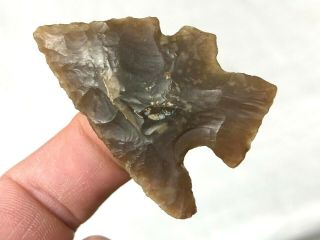 Exceptional Charcos Point Webb Co. ,  Texas Authentic Arrowhead Artifact B24