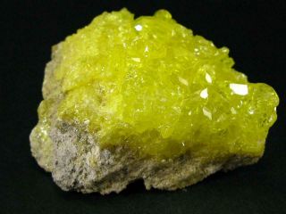 Large Yellow Sulfur Sulphur Cluster Bolivia - 2.  7 "