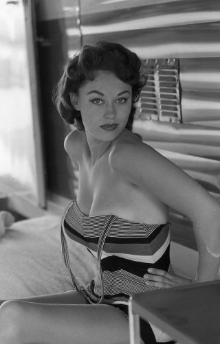 1960s Ron Vogel Negative,  Sexy Pin - Up Girl Donalda Jordan,  Cheesecake,  T242678
