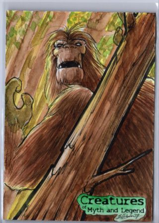Perna Creatures Of Myth And Legend Bigfoot Sketch By Danielle Ellison