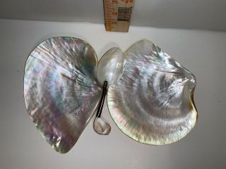 Vintage Shell Mother Of Pearl Caviar Dish Set W 2 Dishes & She’ll Spoon
