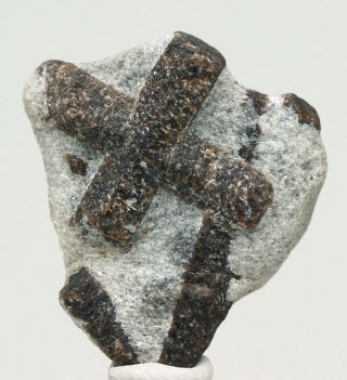Large Staurolite Fairy Cross Crystal Cluster Mineral Specimen Keivy Russia Nr