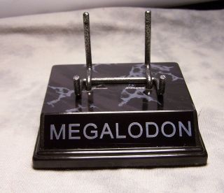 Megalodon Shark Tooth Display Stand Fossil Shark Teeth The Megalodon