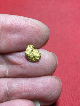 Natural Gold Nugget Specimen Bullion Placer So.  Oregon Rogue River 1.  06 Grams Y1