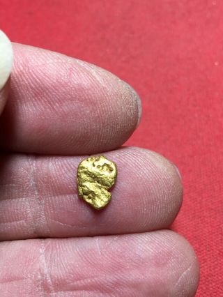 Natural Gold Nugget Specimen Bullion Placer So.  Oregon Rogue River 1.  06 Grams Y1 2