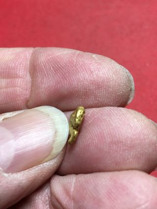 Natural Gold Nugget Specimen Bullion Placer So.  Oregon Rogue River 1.  06 Grams Y1 3