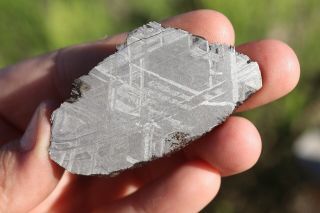 Muonionalusta meteorite etched full slice 25.  8 grams 2