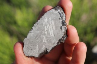 Muonionalusta meteorite etched full slice 25.  8 grams 3