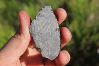 Muonionalusta meteorite etched full slice 25.  8 grams 4