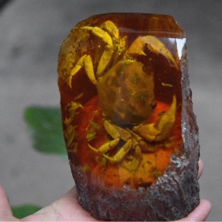 Made by hand amberInsect specimens furnishing articles - crab 2