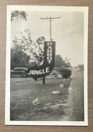 Parrot Jungle Miami Florida 1940s Roadside Attraction Sign