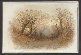 C5809 Victorian Tuck Year Card: Woodland Scene