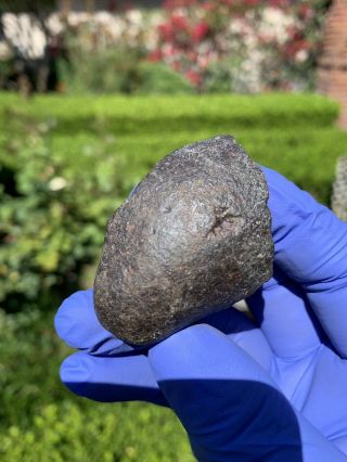 Meteorite Nwa,  Unclassified 57.  46 Grams,  Fresh Fusion Crust