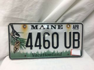 Maine Chickadee License Plate Stamped