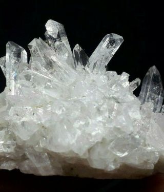55gr.  Gemmy Danburite Crystals Cluster & Pyrite.  La Aurora - Charcas.  Mexico
