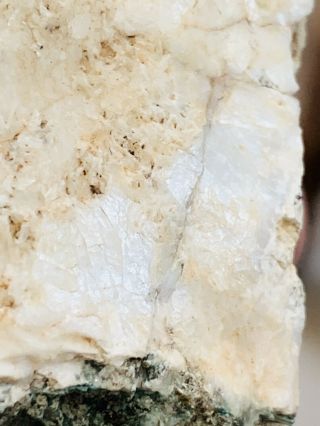 Opalized Mineral Agate Limb Cast Crystal Jasper Lapidary Gemstone 3