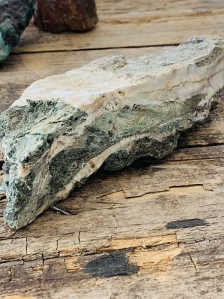 Opalized Mineral Agate Limb Cast Crystal Jasper Lapidary Gemstone 4