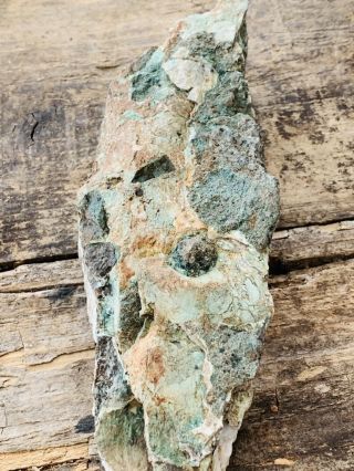Opalized Mineral Agate Limb Cast Crystal Jasper Lapidary Gemstone 5