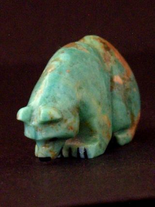 Corwin Yamutewa - Turquoise Bear - Zuni Fetish - Native American - Stone Carving